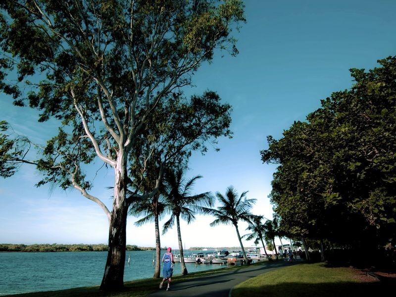 79 Eumundi Road, Noosaville QLD 4566