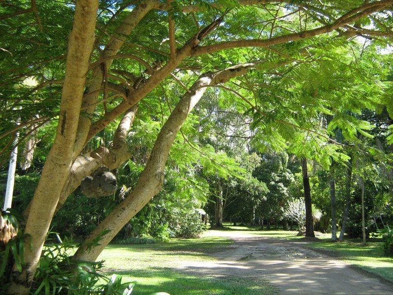 801 Eumundi Noosa Road, Doonan QLD 4562