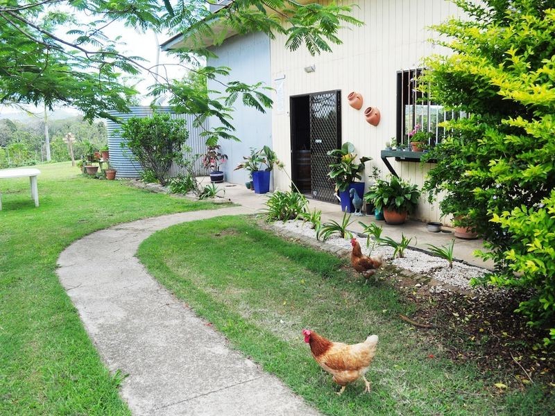 310 Memorial Drive, Eumundi QLD 4562