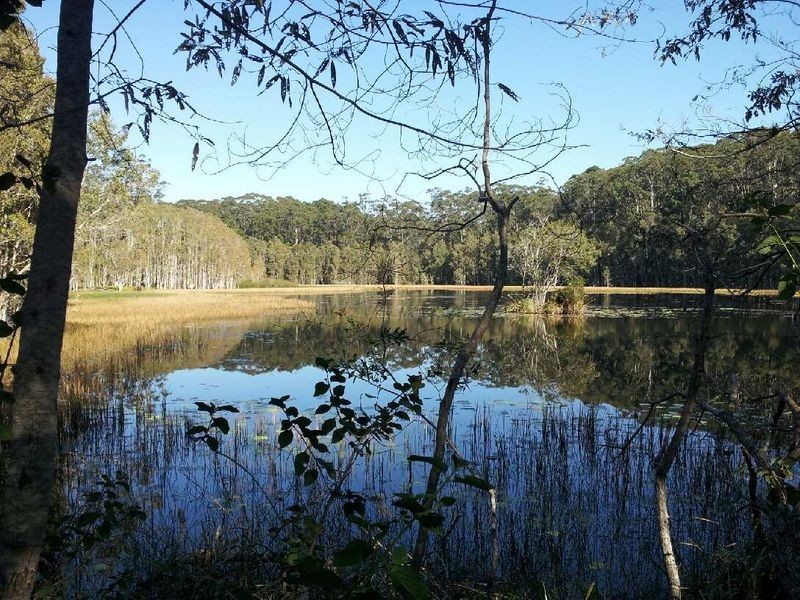 Lot 12 Bruce Highway, Palmview QLD 4553