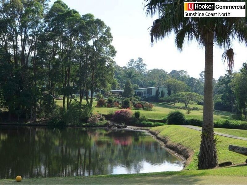 Noosa Heads QLD 4567