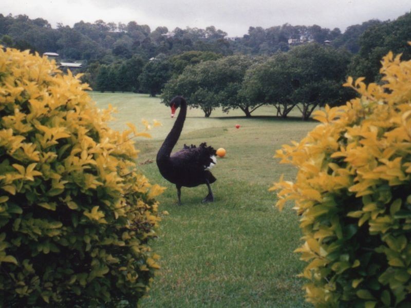 Noosa Heads QLD 4567