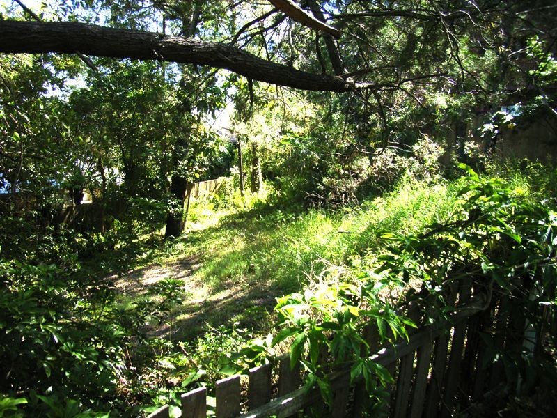 7 Berrima Row, Noosa Heads QLD 4567