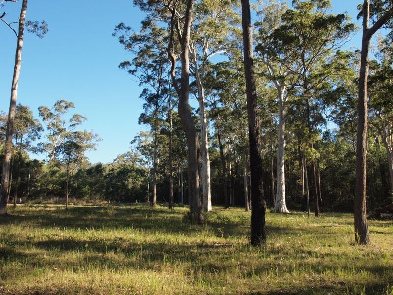 19 Tree Frog Grove, Woombah NSW 2469