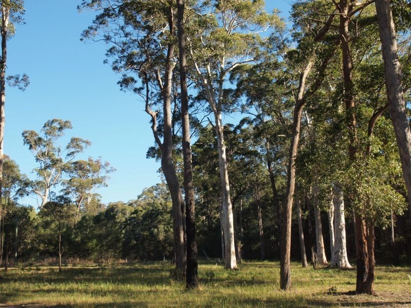 19 Tree Frog Grove, Woombah NSW 2469
