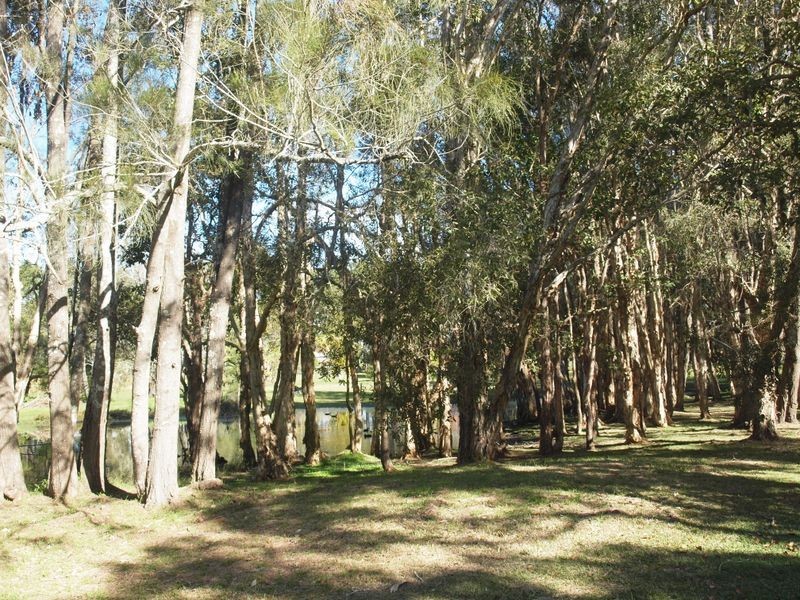 2 Island View Road, Woombah NSW 2469