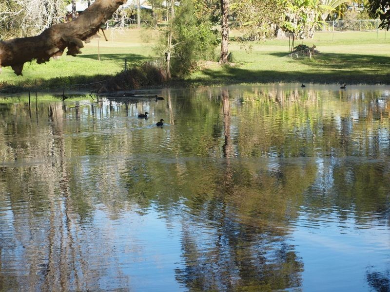 2 Island View Road, Woombah NSW 2469