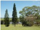 282 Iluka Road, Woombah NSW 2469