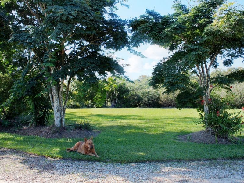 304 Iluka Road, Woombah NSW 2469