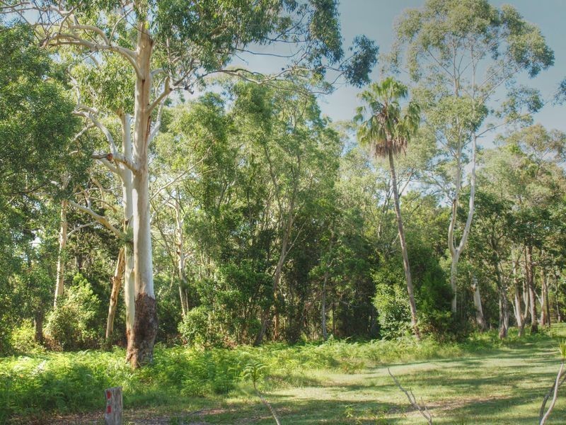 878 Iluka Road, Iluka NSW 2466
