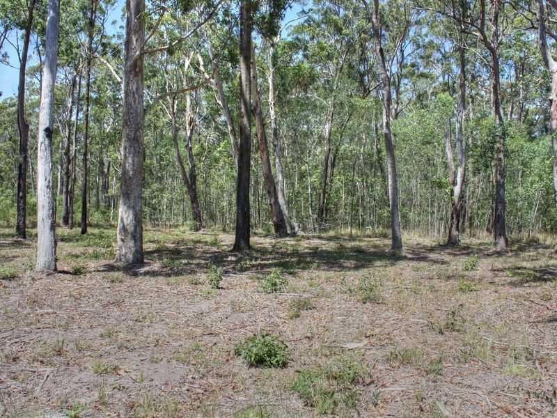 Lot 8 Tree Frog Grove, Woombah NSW 2469