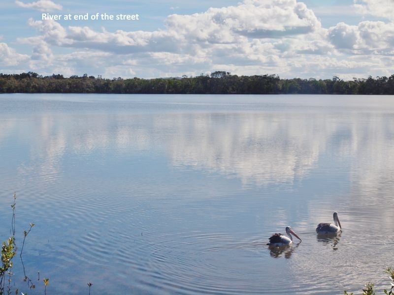 22 Conrad Close, Iluka NSW 2466