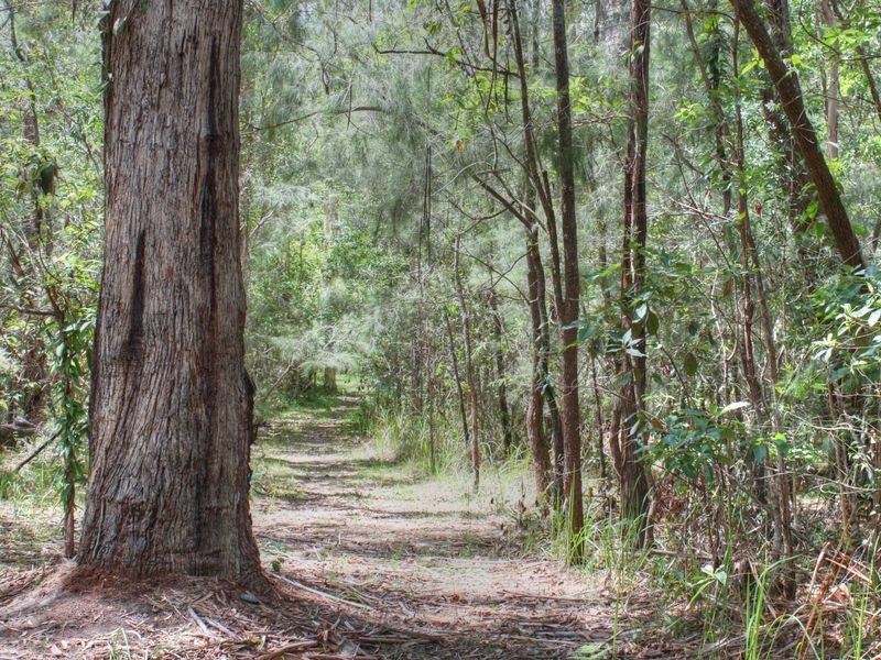 Lot 7 Gumhill Drive, Woombah NSW 2469