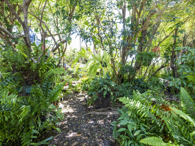 19 Duke Street, Iluka NSW 2466