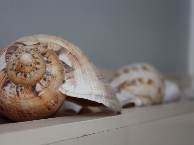 1/56 Charles Street, Iluka NSW 2466