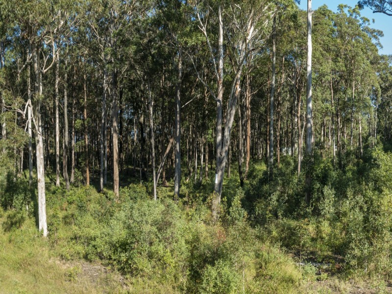 Lot 4 North Street, Woombah NSW 2469