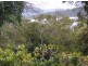 21 Duke Street, Iluka NSW 2466