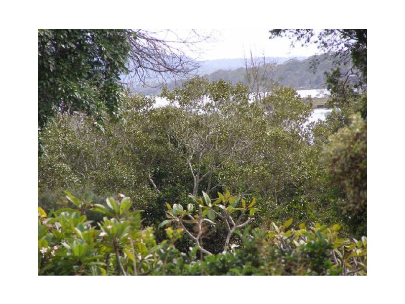 21 Duke Street, Iluka NSW 2466