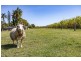 20 Martins Point Road, Harwood NSW 2465