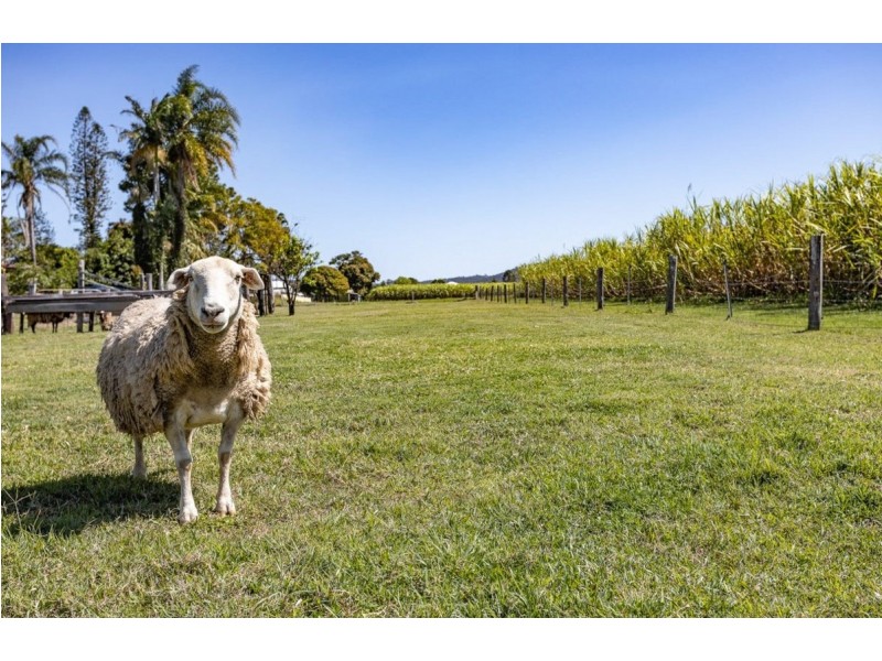 20 Martins Point Road, Harwood NSW 2465