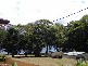 80 Charles Street, Iluka NSW 2466
