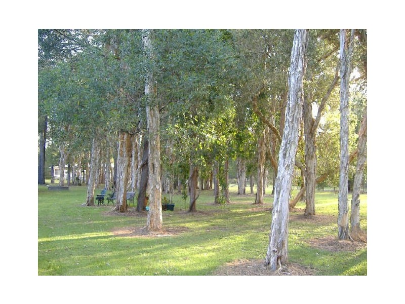 4 Forest Way, Woombah NSW 2469