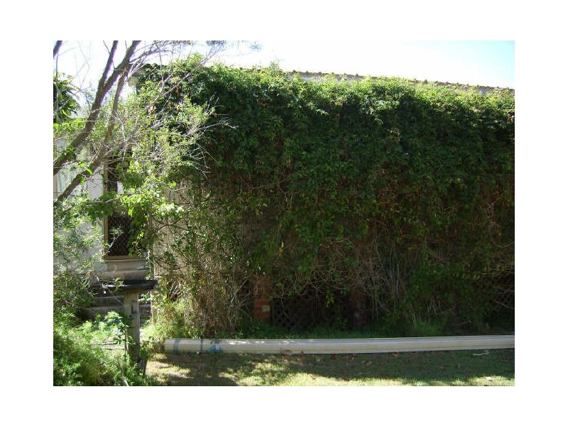 104 Spenser Street, Iluka NSW 2466