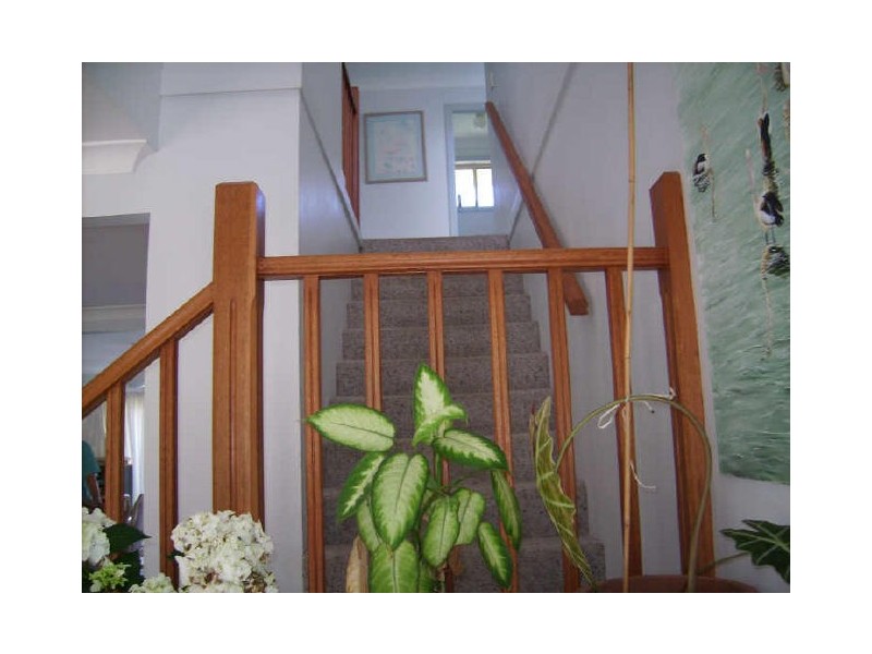 3/91 Charles Street, Iluka NSW 2466