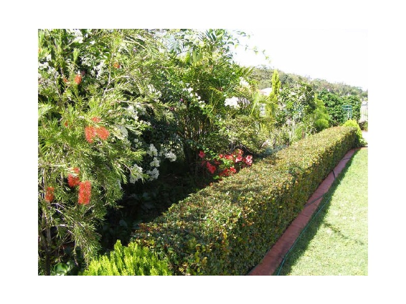 47 Sovereign Street, Iluka NSW 2466