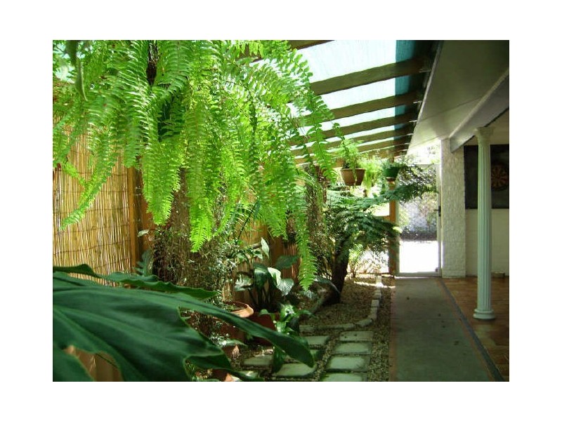 2/32 Queen Lane, Iluka NSW 2466