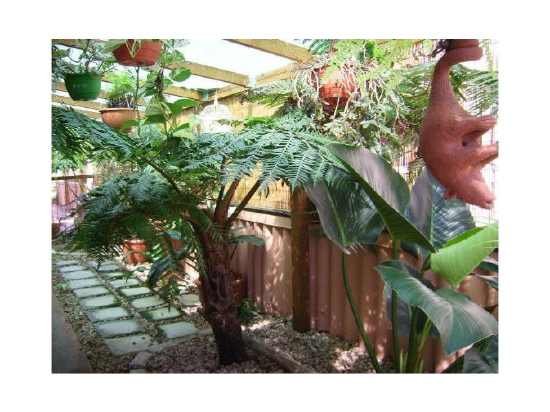 2/32 Queen Lane, Iluka NSW 2466