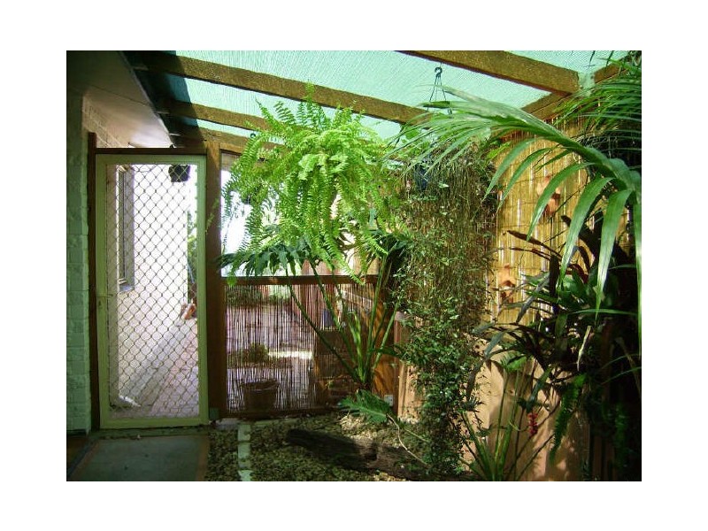 2/32 Queen Lane, Iluka NSW 2466