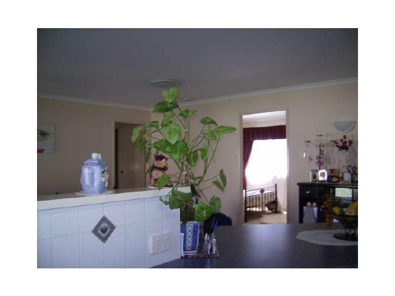 20 Conrad Close, Iluka NSW 2466