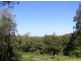 11 Island View Road, Woombah NSW 2469