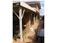 4 Thompson Street, Iluka NSW 2466