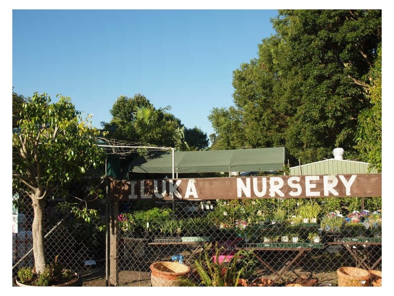 33A Charles St, Iluka NSW 2466