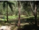 Lot 52 Pottery Lane, Woombah NSW 2469