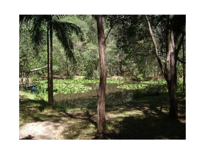 Lot 52 Pottery Lane, Woombah NSW 2469