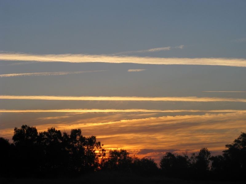 31 Duke Street, Iluka NSW 2466