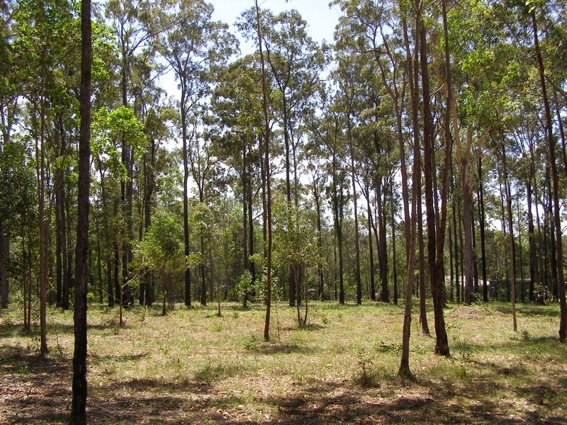 Lot 3 West Street, Woombah NSW 2469