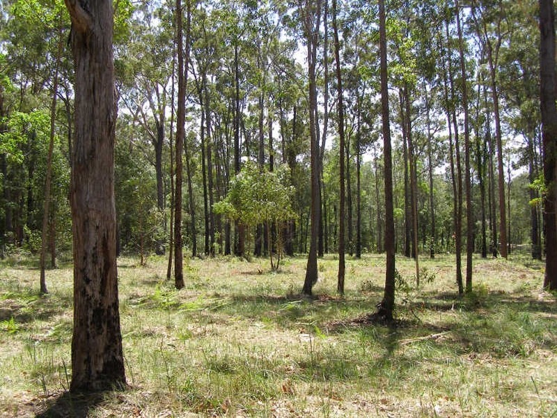Lot 3 West Street, Woombah NSW 2469