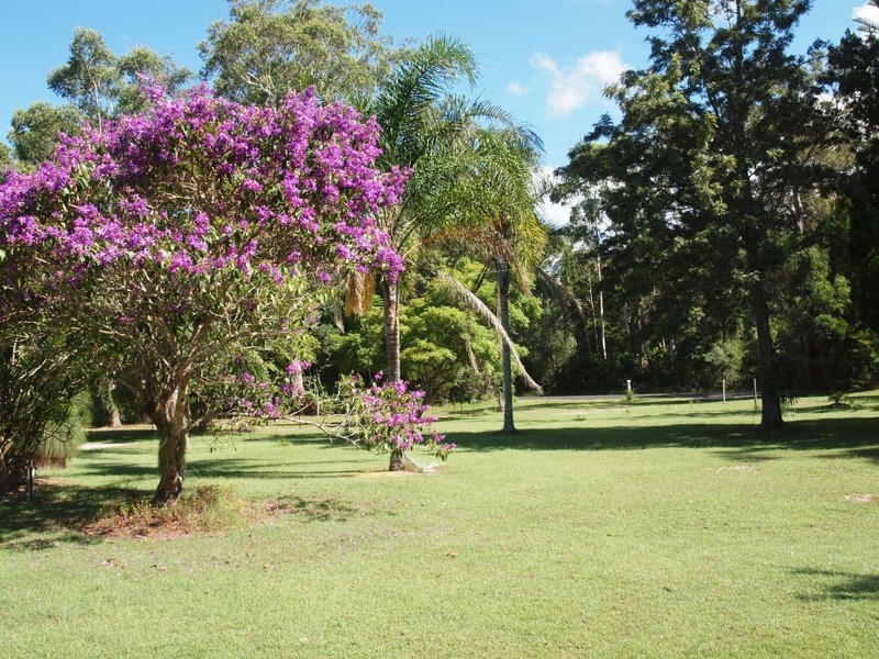 878 Iluka Road, Iluka NSW 2466