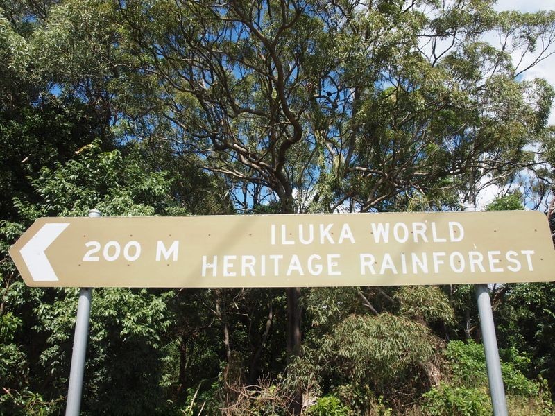 116 Spenser Street, Iluka NSW 2466