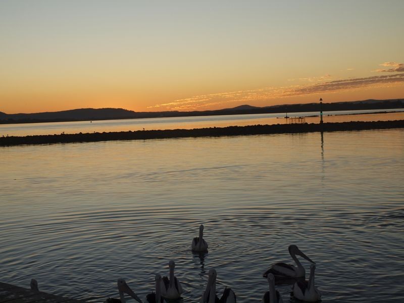 7 Spenser Street, Iluka NSW 2466