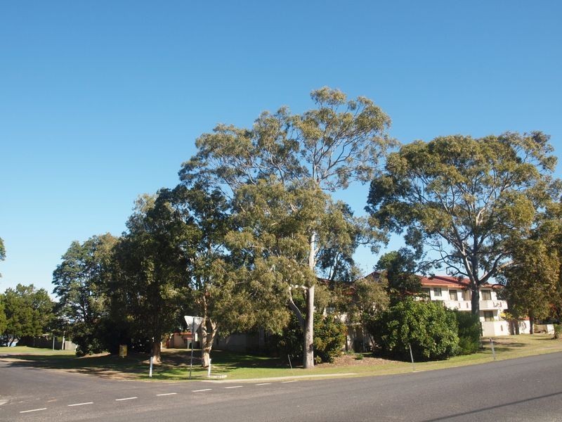 6/64-66 Charles Street, Iluka NSW 2466