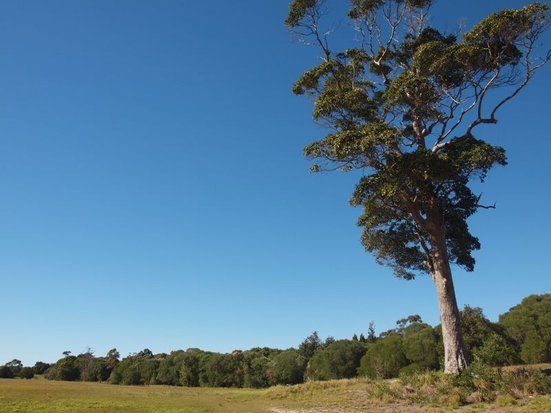 60 Sovereign Street, Iluka NSW 2466