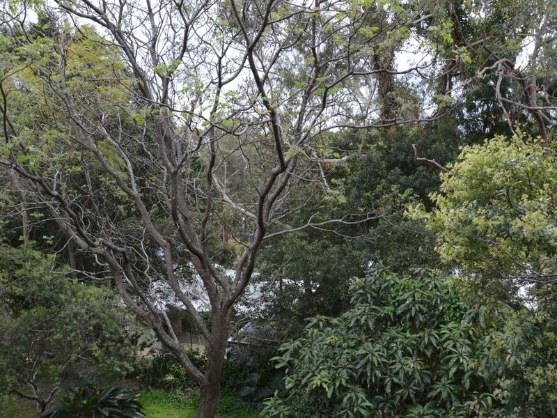 18 Irambang Street, Nelson Bay NSW 2315