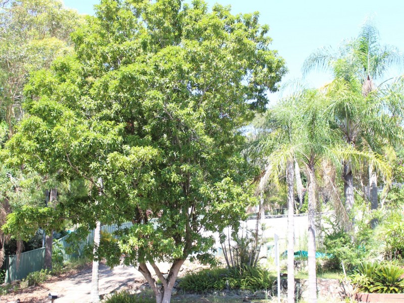 3 Galoola Drive, Nelson Bay NSW 2315