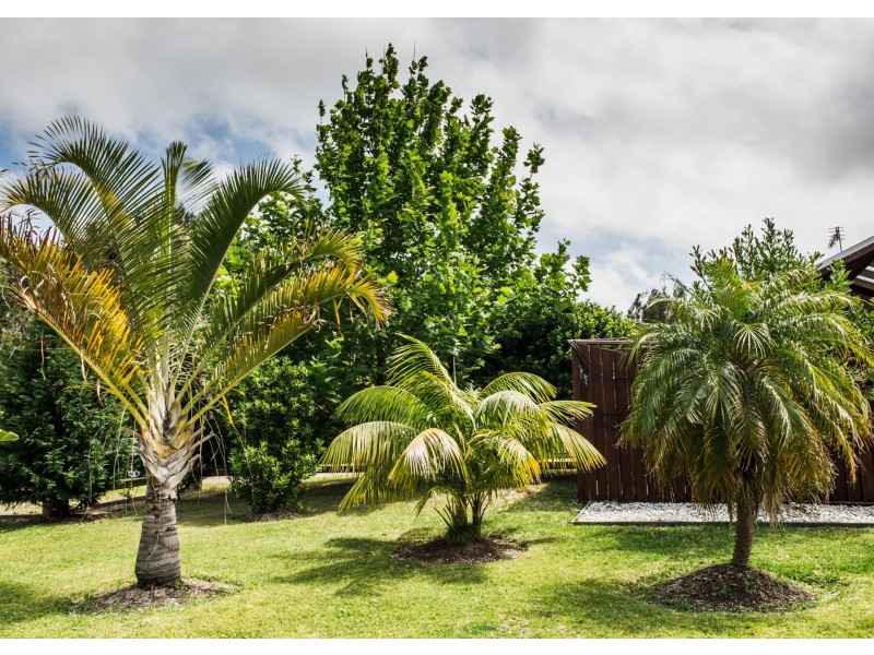 16 Melaleuca Drive, One Mile NSW 2316