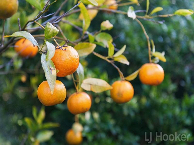 55 Mariner Crescent, Salamander Bay NSW 2317